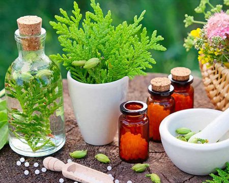 Naturopathy training